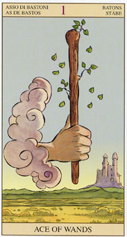 ���ӽ�ΰ�������� - Tarot of the New Vision - Ȩ��A - Ace Of Wands