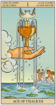 ���ӽ�ΰ�������� - Tarot of the New Vision - ʥ��A - Ace Of Cups