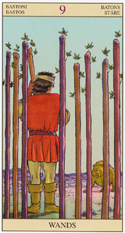 ���ӽ�ΰ�������� - Tarot of the New Vision - Ȩ�Ⱦ� - Nine Of Wands