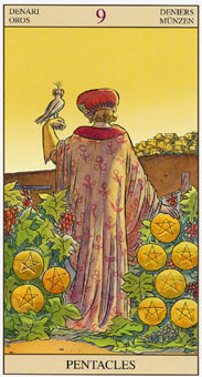 ���ӽ�ΰ�������� - Tarot of the New Vision - Ǯ�Ҿ� - Nine Of Pentacles
