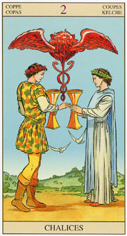 ���ӽ�ΰ�������� - Tarot of the New Vision - ʥ���� - Two Of Cups