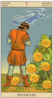 ���ӽ�ΰ�������� - Tarot of the New Vision - Ǯ���� - Seven Of Pentacles