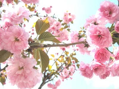 �һ��������Ĵ���Ф