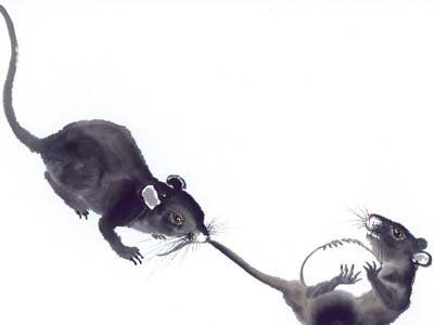 ���ױ����ҵ���Ф��