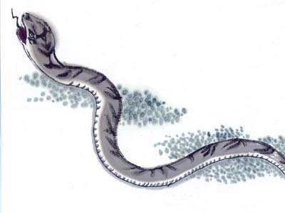 ���ױ����ҵ���Ф��