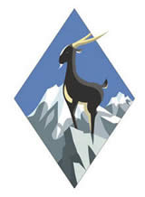 ˭�İ�������������