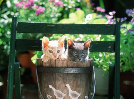 谁容易辜负你的爱情