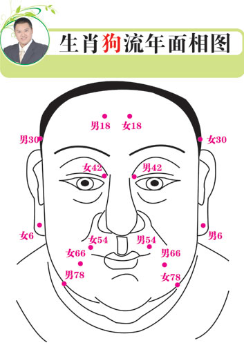 ���������˳�