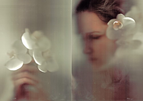 ����ϸ��2011��Ф���ư�