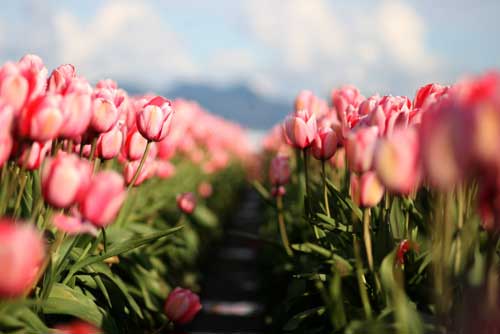 ������˼���ܺ���Ǯ����  