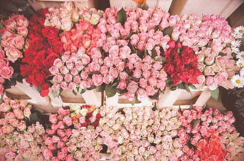 不花心思就能很有钱星座