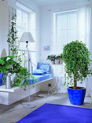 ��������������