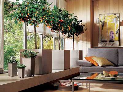 ����ɷ���䣬�����Եֵ�