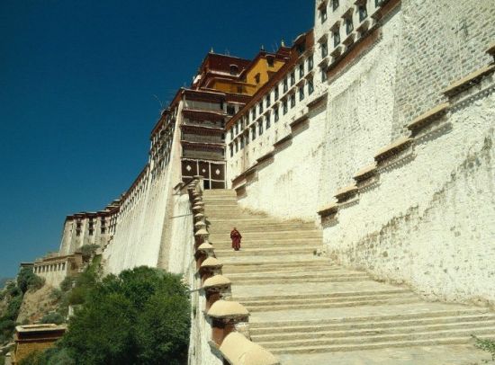 12����ѧ�����ޱ�ҵ��