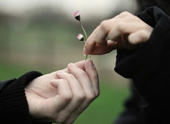 ���������һҳ