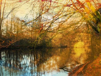 梦见老鼠啃食自己肢体