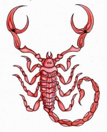 12星座的爱情绊脚石