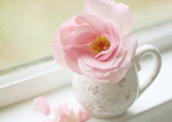 ���������һҳ