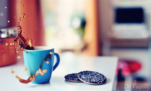 �Ⱳ�����ʺϴ�ҵ������