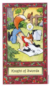 ��������� - Whimsical Tarot - ������ʿ - Knight Of Swords