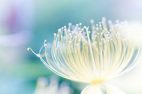 双击在新窗口按原始大小查看 测你们有缘分成为夫妻吗