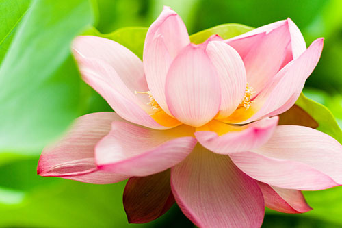 双击在新窗口按原始大小查看 测你们有缘分成为夫妻吗