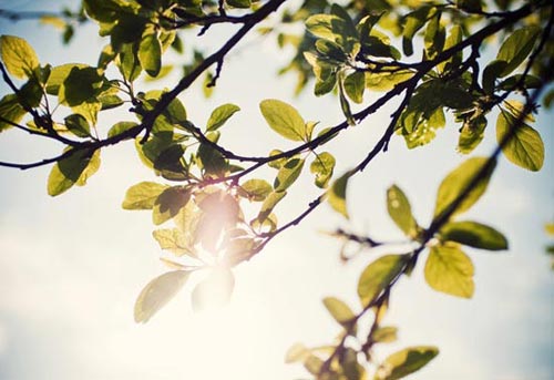 ���·�����һ����ж���