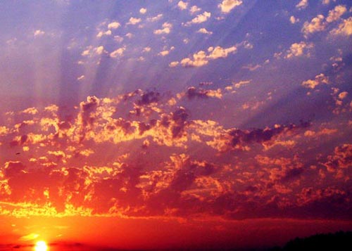 ���·�����һ����ж���