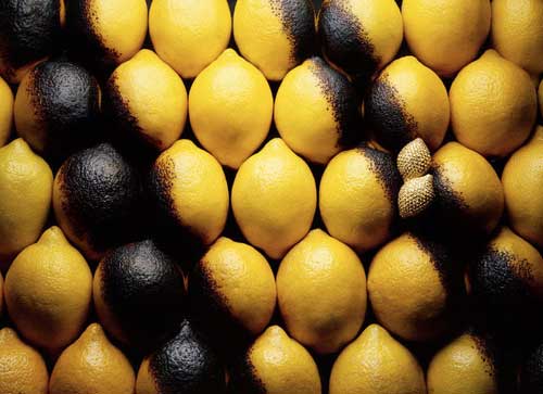 ��������Ƿ����쳤�ؾ�