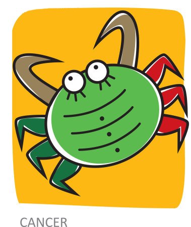 容易嫁富二代的星座