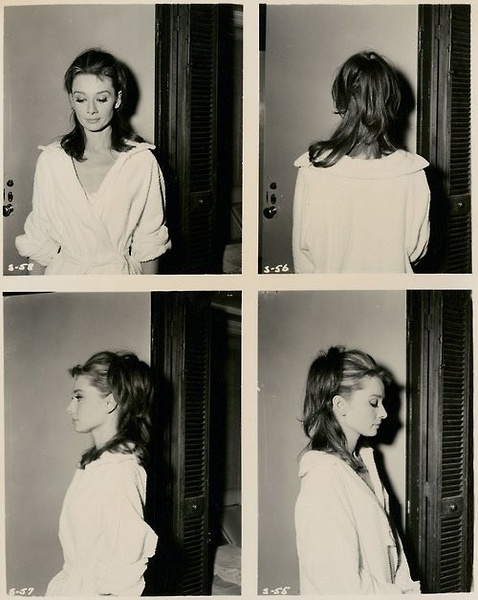 ��Զ��Muse������