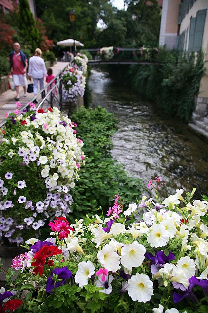 ������������С��İ������������ƽ���