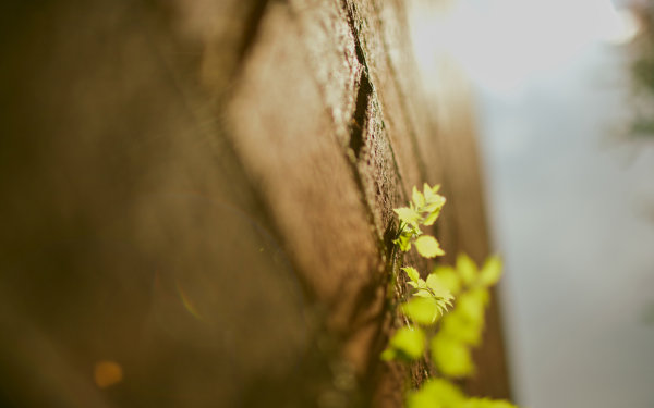 Ψ�� �羰 ����  ��Ӱ