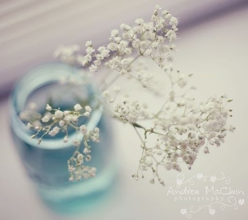 �����ǡ�