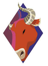 ϲ����ʳ���������