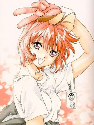 12��Ů��װ�崿ָ��