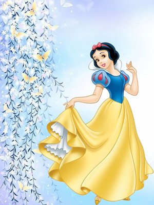 12��Ů��װ�崿ָ��