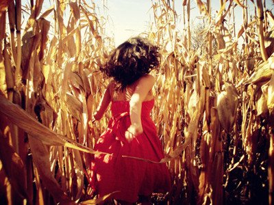 ���������¹¶�����