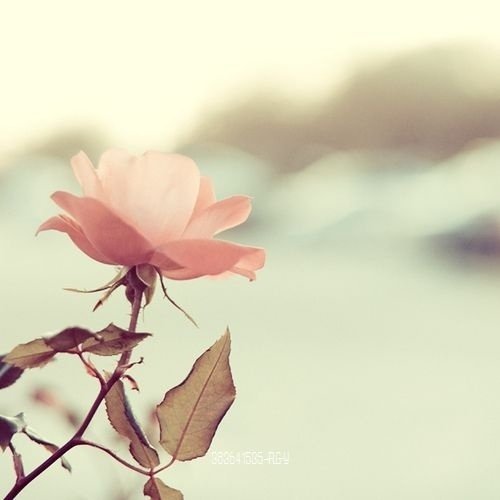 ����ն�һ���ˮ����