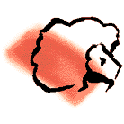 12��������ʵ�һ��