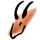 12��������ʵ�һ��