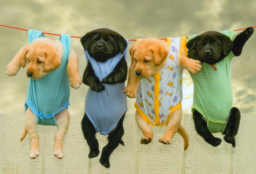 ♬ (��������) ❤�n