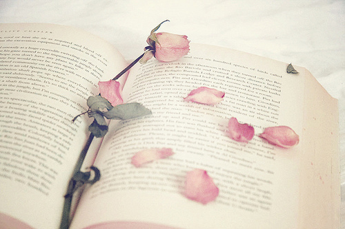 12963631384218��Rose��book��FIRST��������