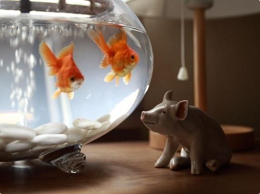 �������￴�羰 ���羰����ȴ�������ǵķ羰