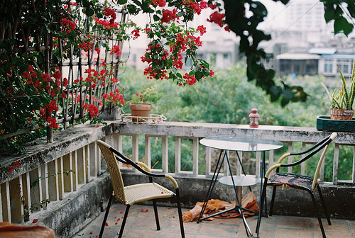 life style life style、摄影、清新、生活、唯美