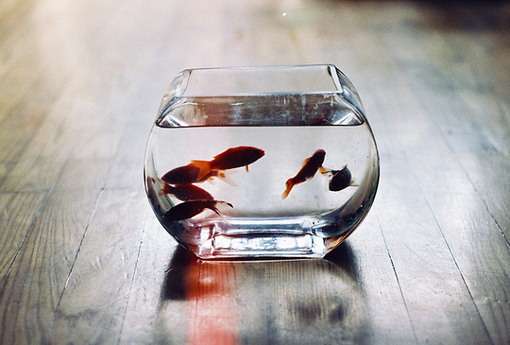 �ҵļ���ֻ��7��_ʧ��֢С�㡢���