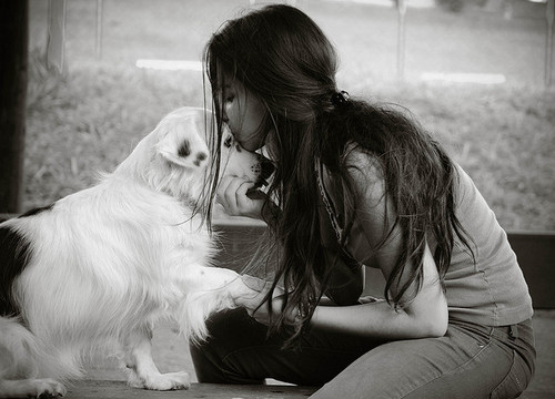 心水♥ 心水♥、Hey Girls、Mad Sexy Cool Girl、It Girl