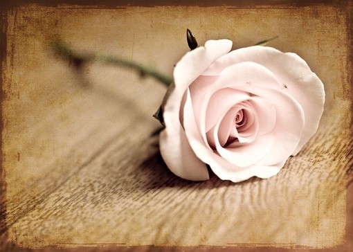 il_fullxfull_76485496��һ�䡢�����ҷ������Բ���