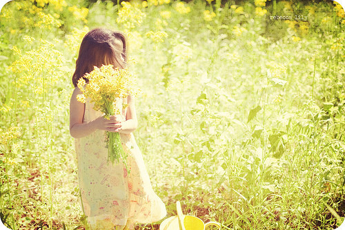 p_large_lzgB_18190000659e2d0d p_large_lzgB_18190000659e2d0d、