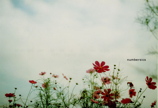 Numbersics